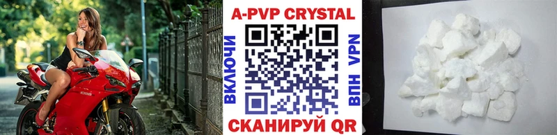 A-PVP СК КРИС  Долгопрудный 