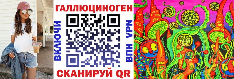 как найти   Долгопрудный  Псилоцибиновые грибы Cubensis 